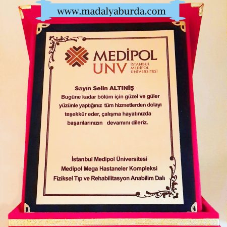 plaket--örneğidir
